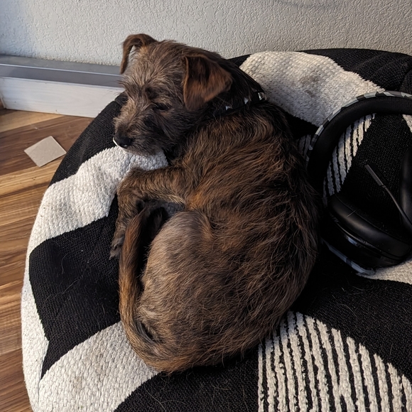 NEW LISTINGS DAILY - BIG STASH CLEAR OUT - Picture 5 of 6